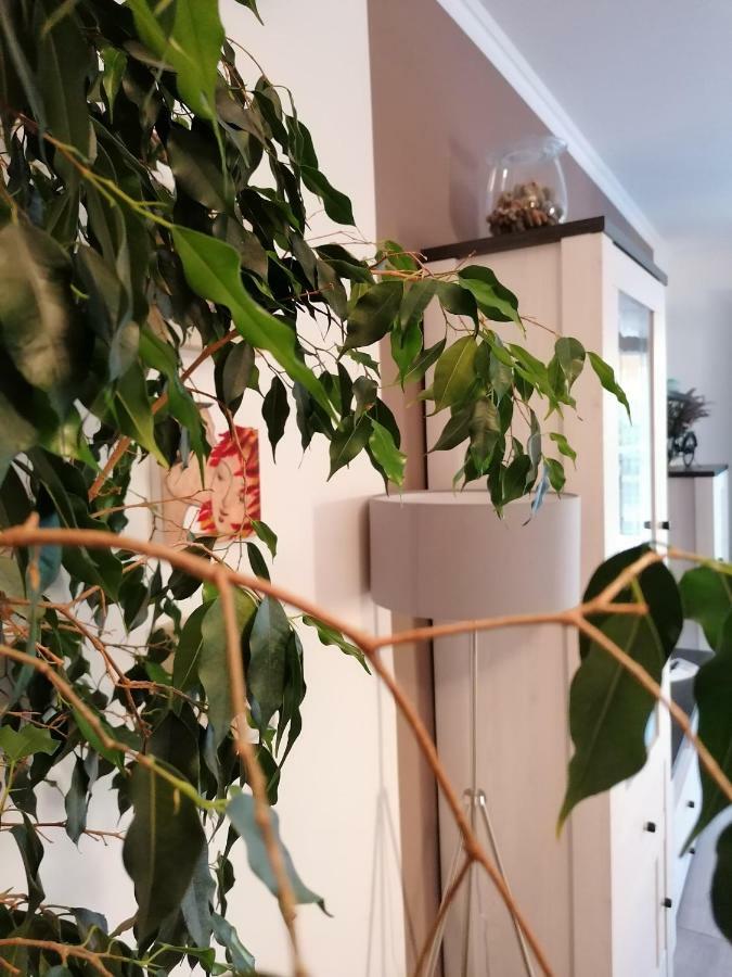 Apartman Luna Šibenik Dış mekan fotoğraf