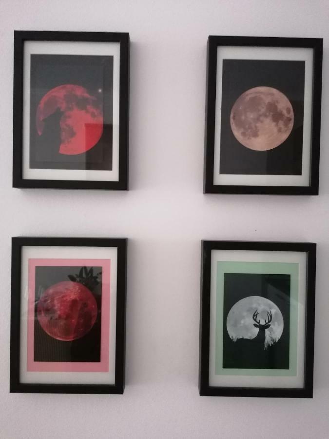 Apartman Luna Šibenik Dış mekan fotoğraf