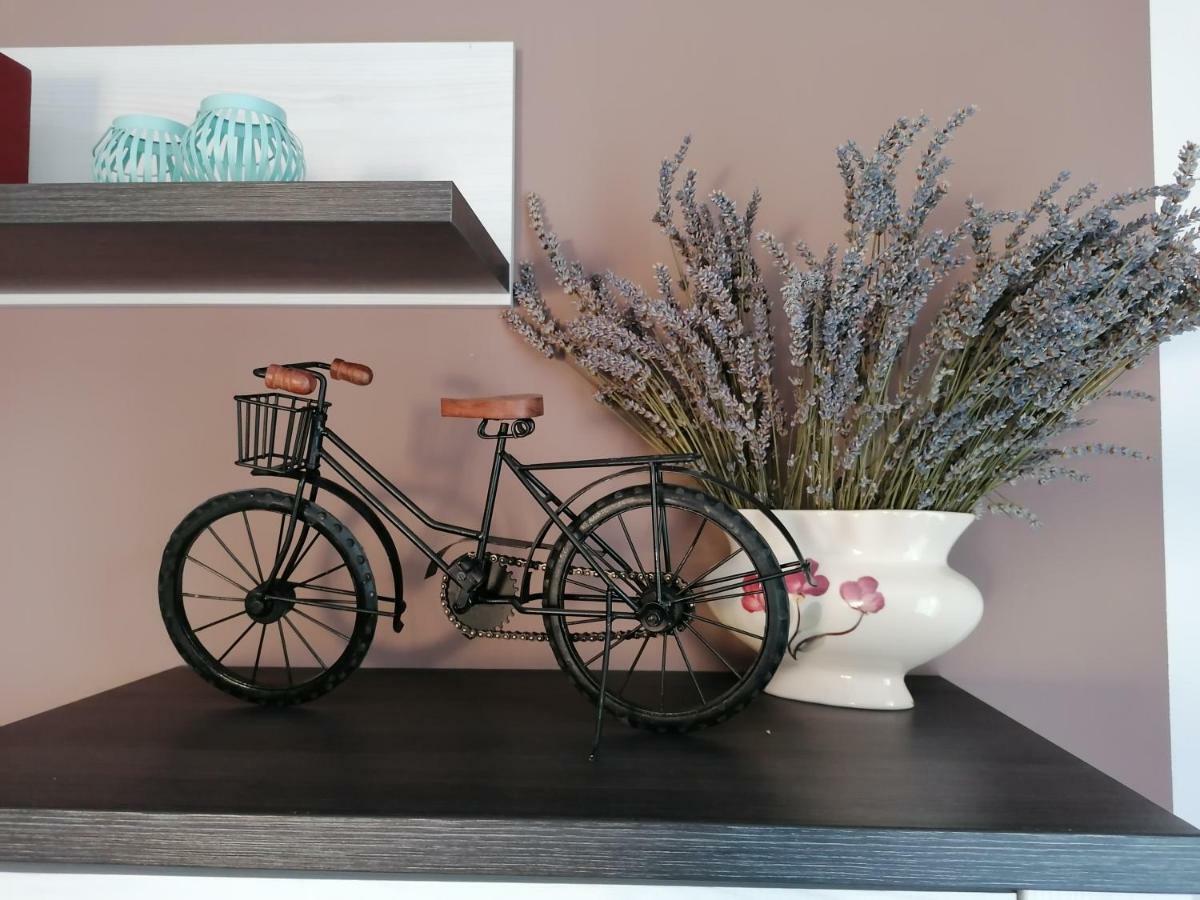Apartman Luna Šibenik Dış mekan fotoğraf